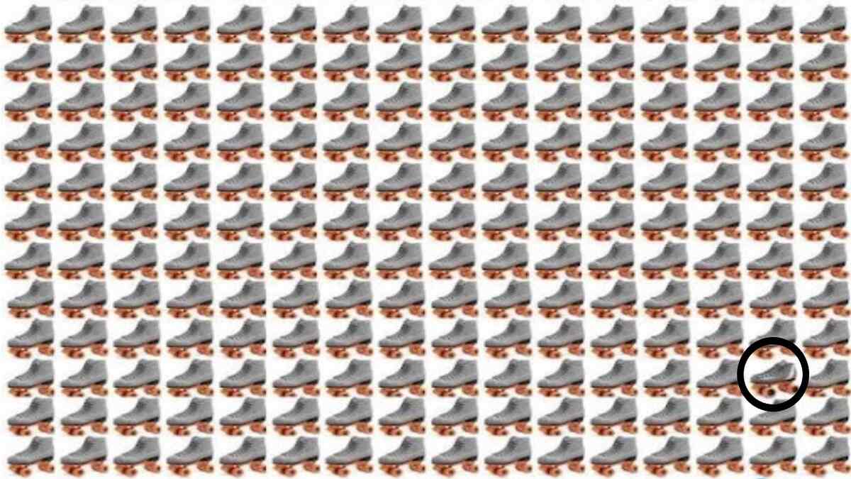 optical illusion find the skate