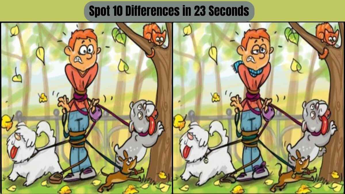 Are you in Top 10? Only 10 out of 50 People can Spot 10 Differences in 23 Seconds