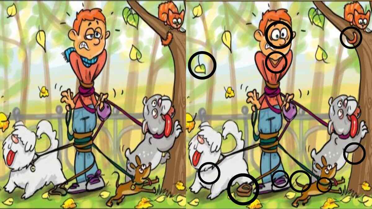 Spot 10 Differences in 23 Seconds