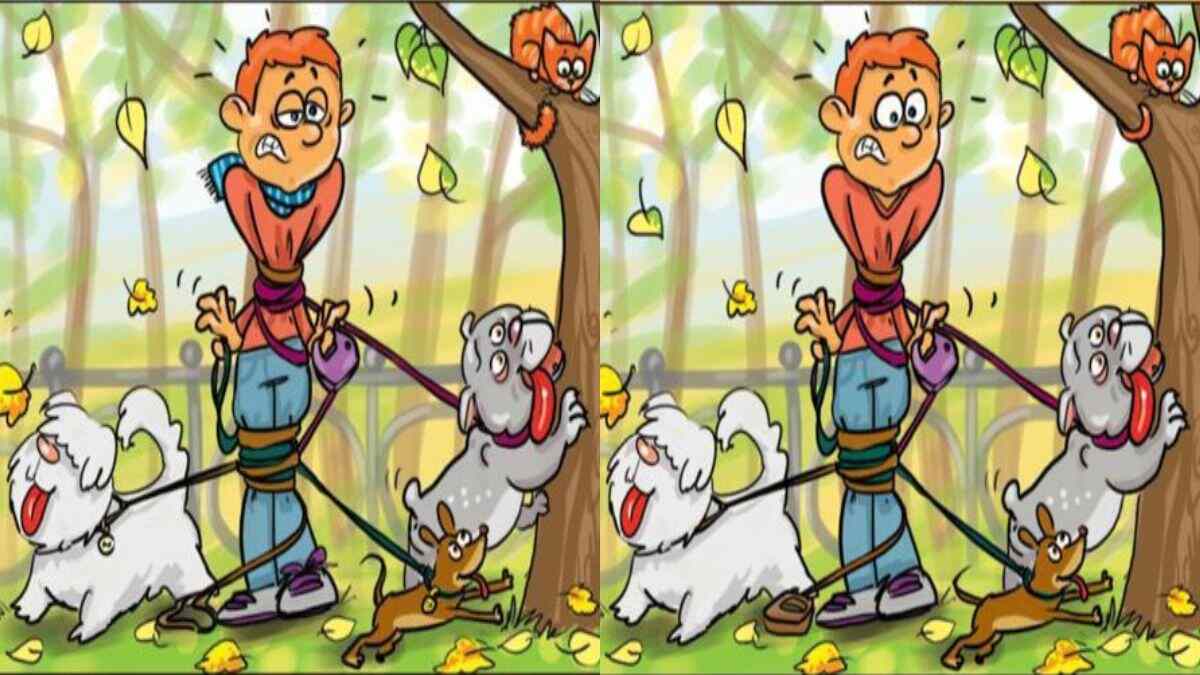 Spot 10 Differences in 23 Seconds