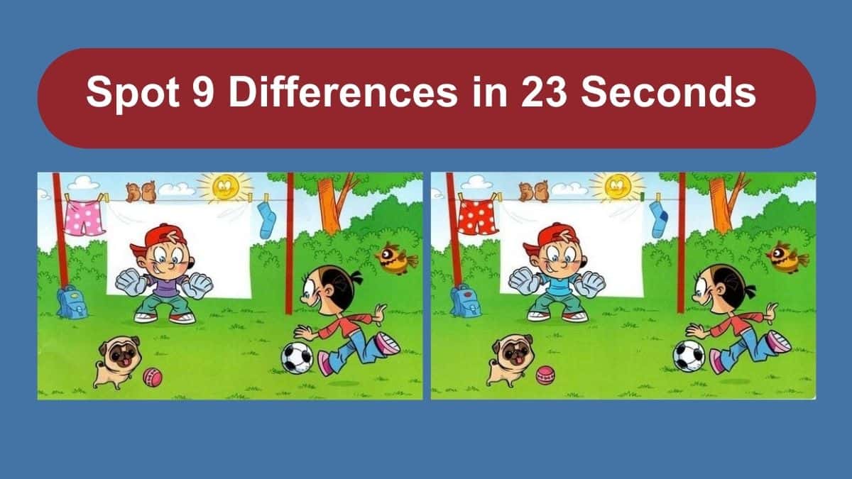 Spot The Difference: Can you spot 9 differences between the two pictures in 23 seconds?