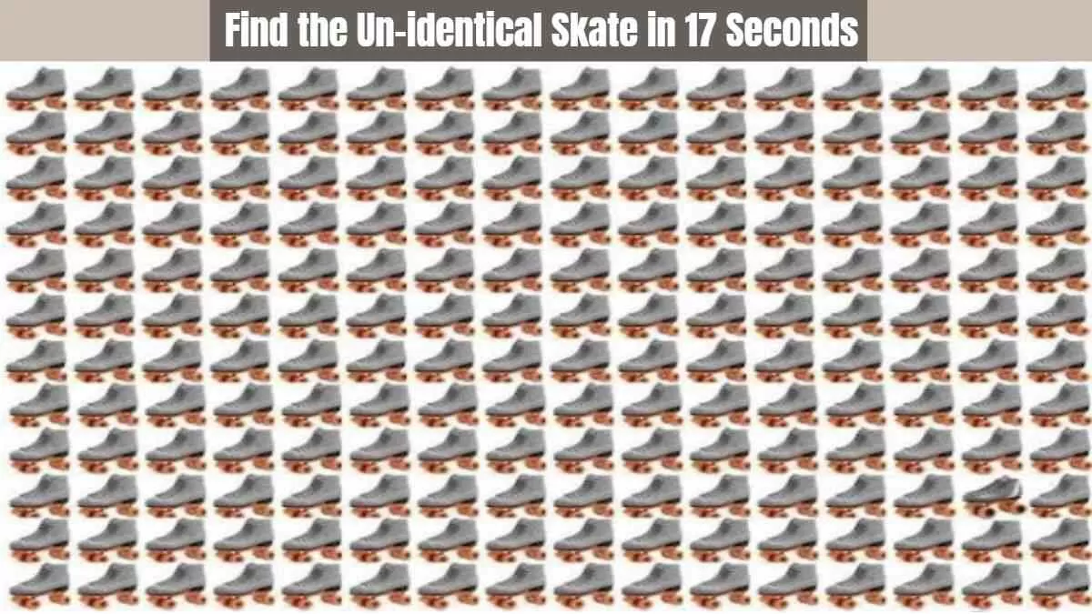 Optical Illusion: Find The Skate in 17 Seconds