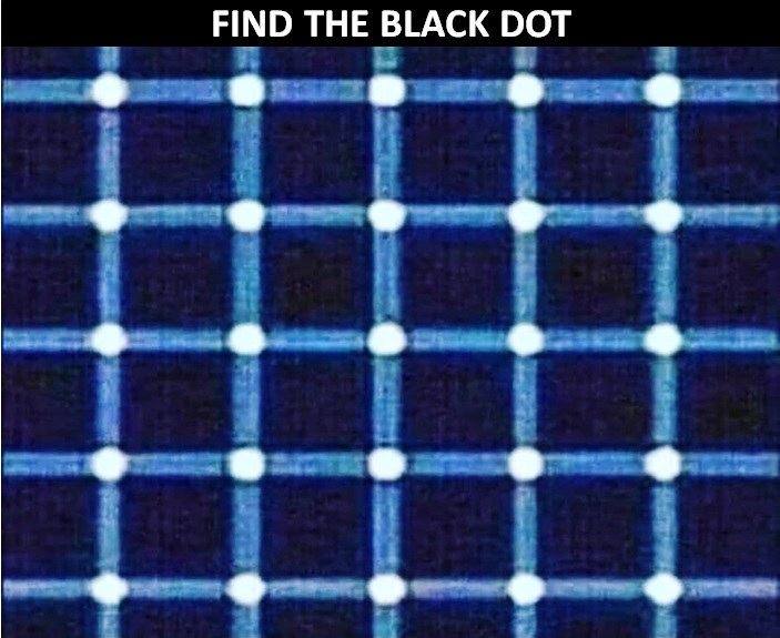 Find The Black Dot In This Grid Optical Illusion Challenge? Only 1% ...