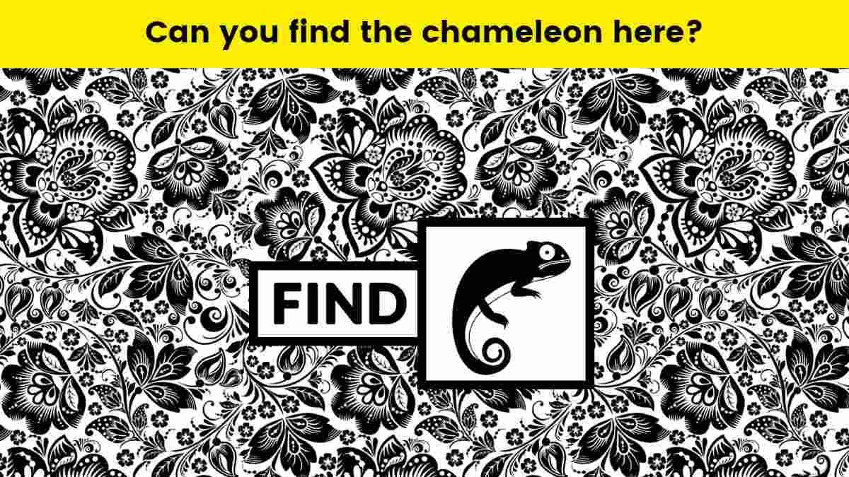 Movierulz4: Find Any Movie In Seconds! - 4o063pd