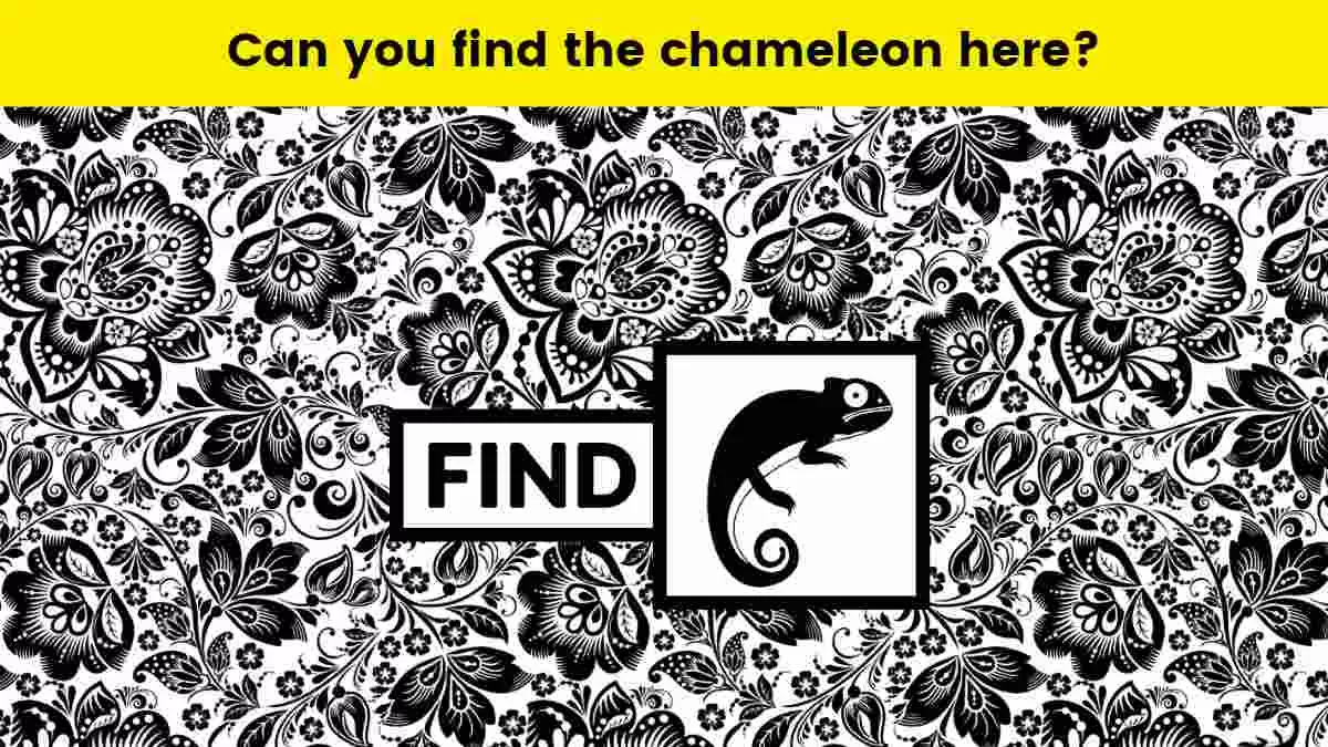 Can you find the chameleon?                                