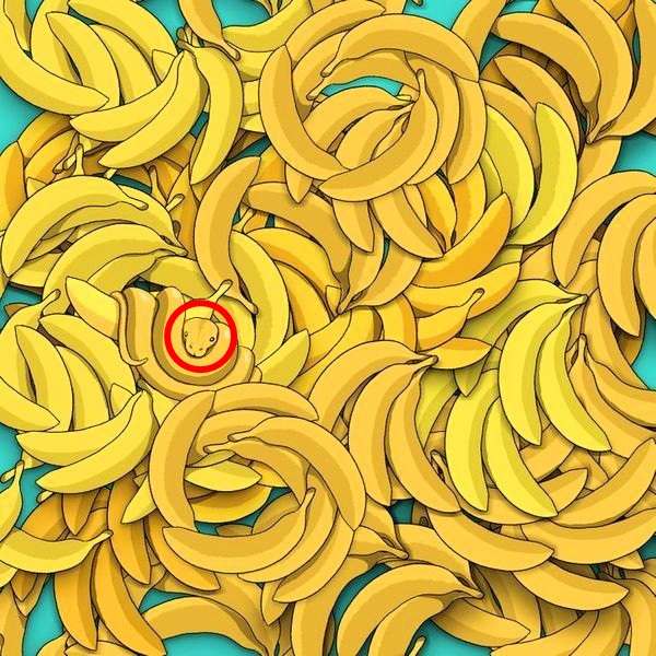 find hidden objects optical illusion answers