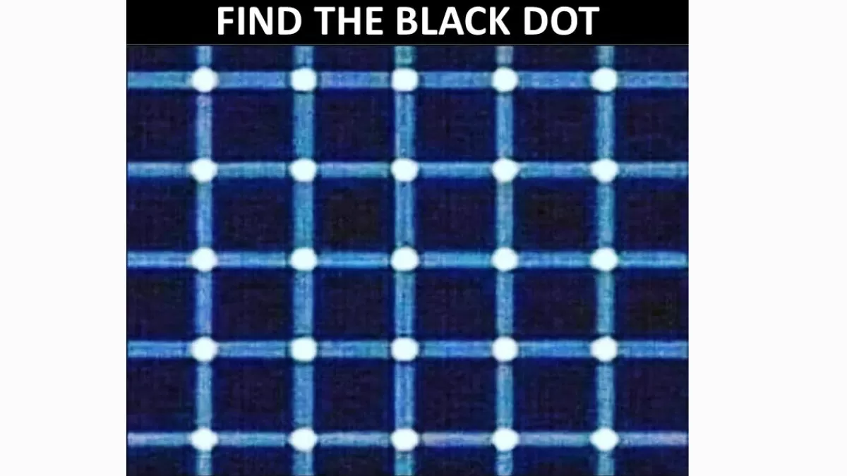 Optical Illusion for Testing Your IQ