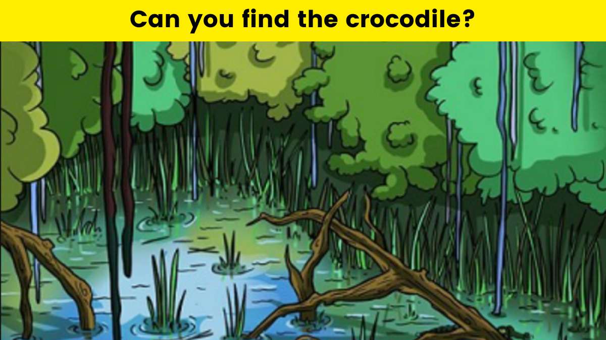 You have great survival skills if you can find the crocodile in the