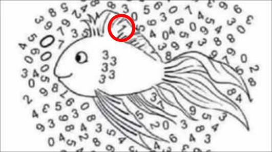 spot hidden number answers