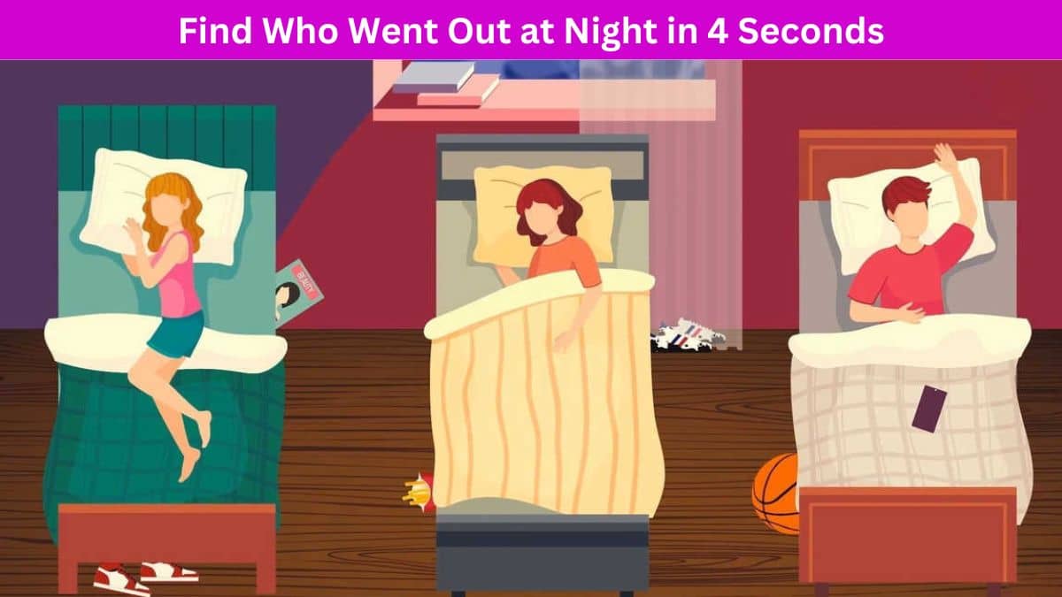 Brain Teaser: Find Who Went Out of House at Night in 4 Seconds!