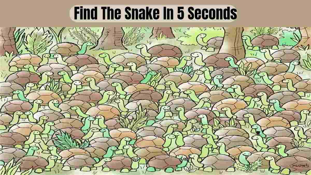 this-optical-illusion-is-so-hard-even-experts-can-t-find-the-snake