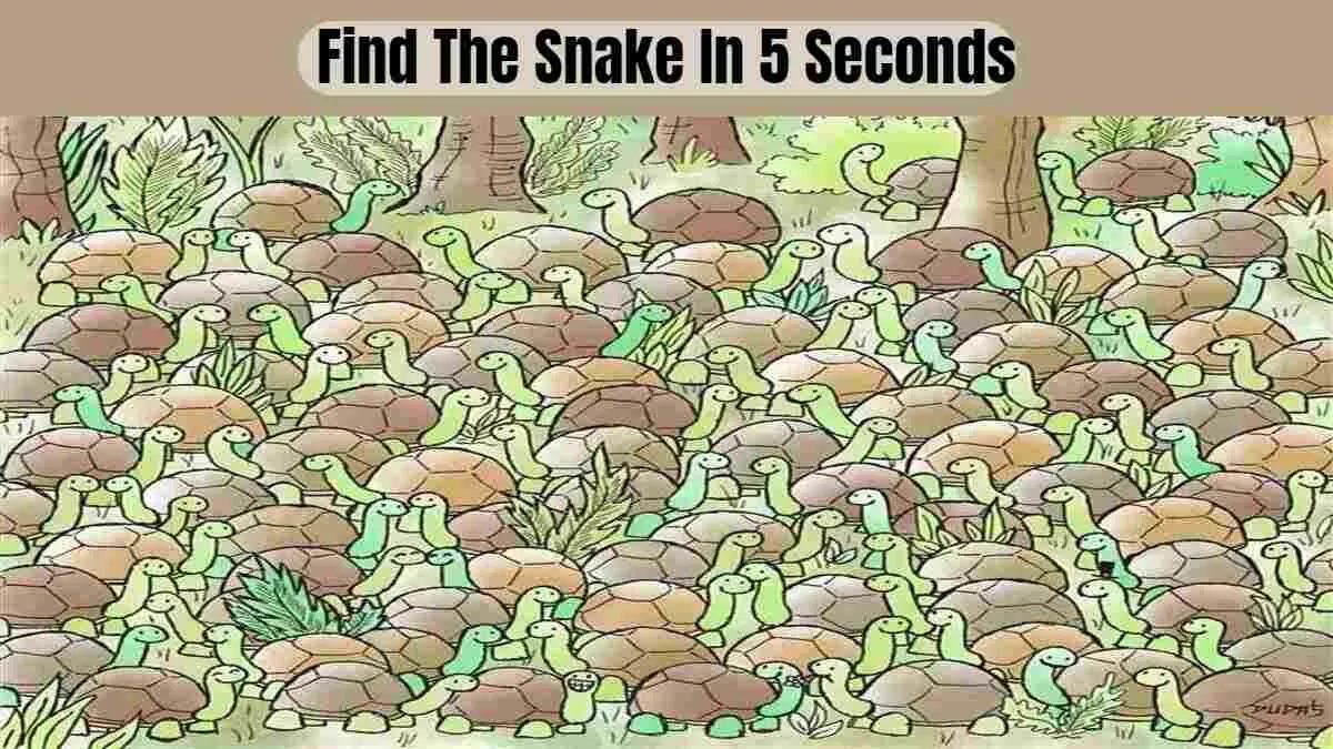 This optical illusion is so hard, even experts can't find the snake