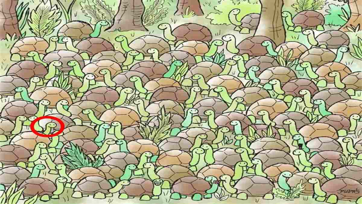 Find The Snake In 5 Seconds