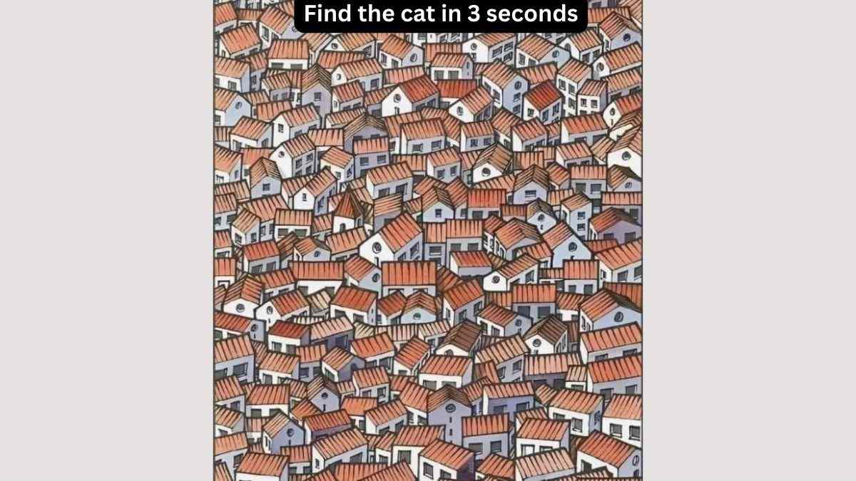 Picture Puzzles to Test Your IQ 
