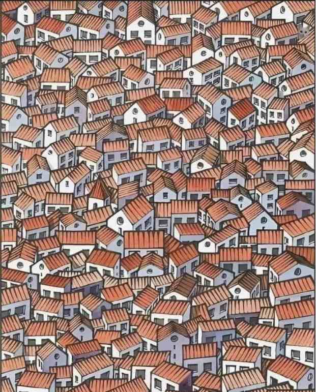 Tricky Puzzle IQ Test: Can you spot the hidden cat among the houses in