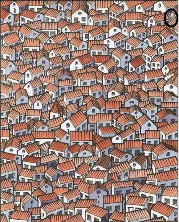 Picture Puzzles Answers