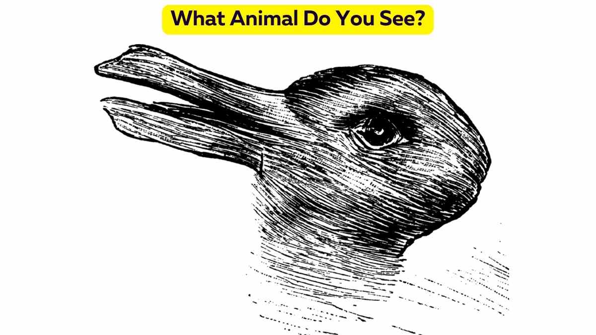 What Animal Do You See In This 1800s Optical Illusion? You have 5 Seconds!