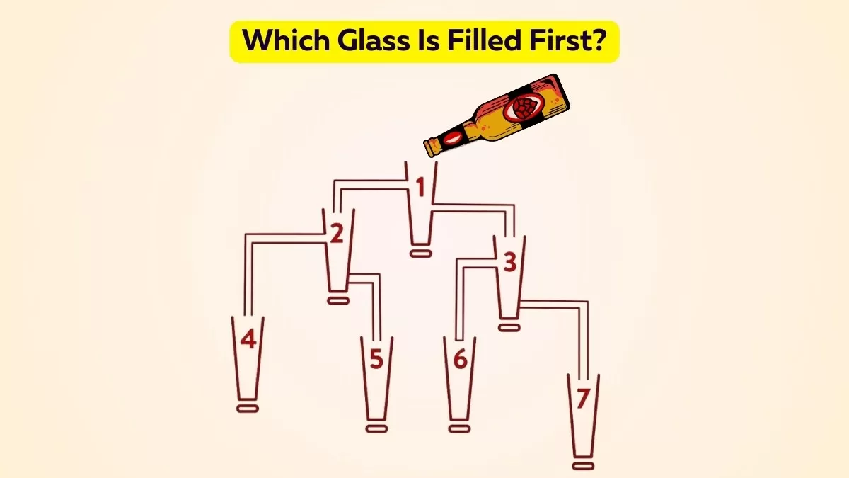 Brain Teaser Puzzle