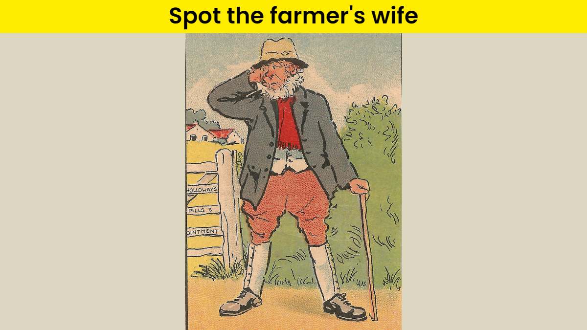 You are a puzzle genius if you can spot the farmer’s wife in the picture within 7 seconds.