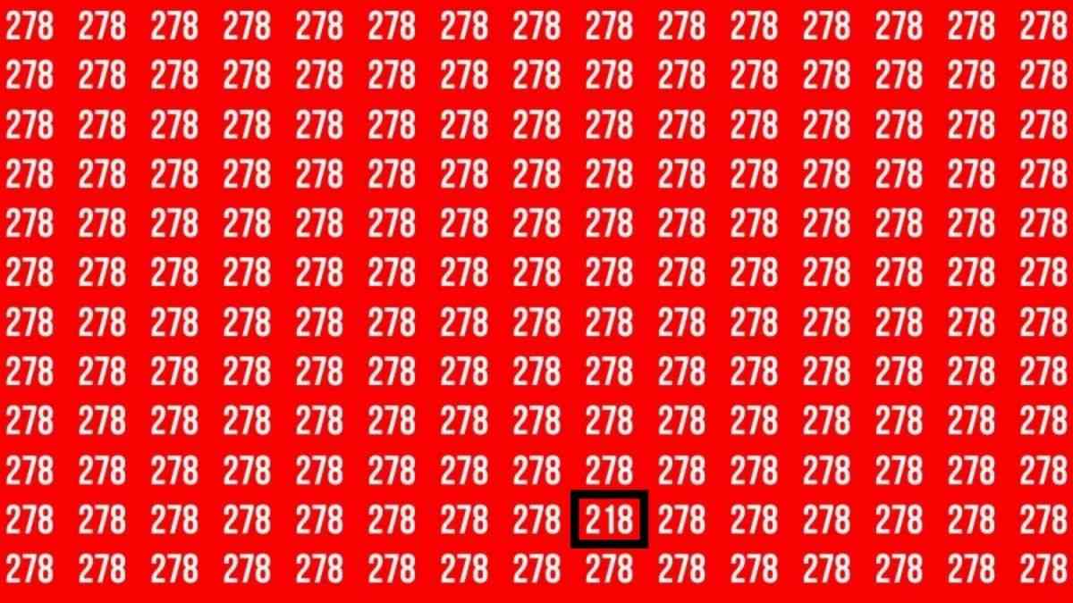 Optical Illusions Answers