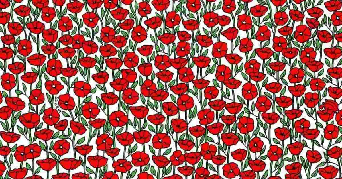 Find the Hidden Crab Optical Illusion