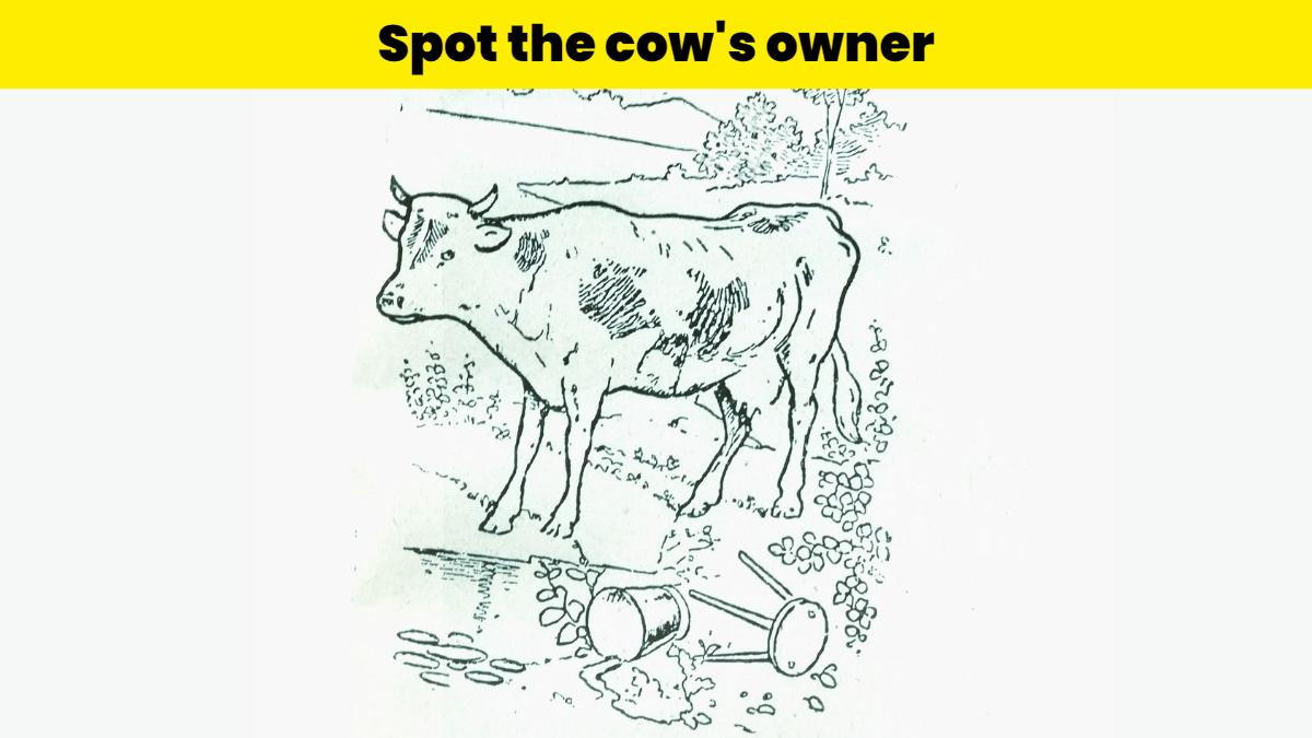 You have the gift of vision if you can spot the milkmaid in the picture within 8 seconds!