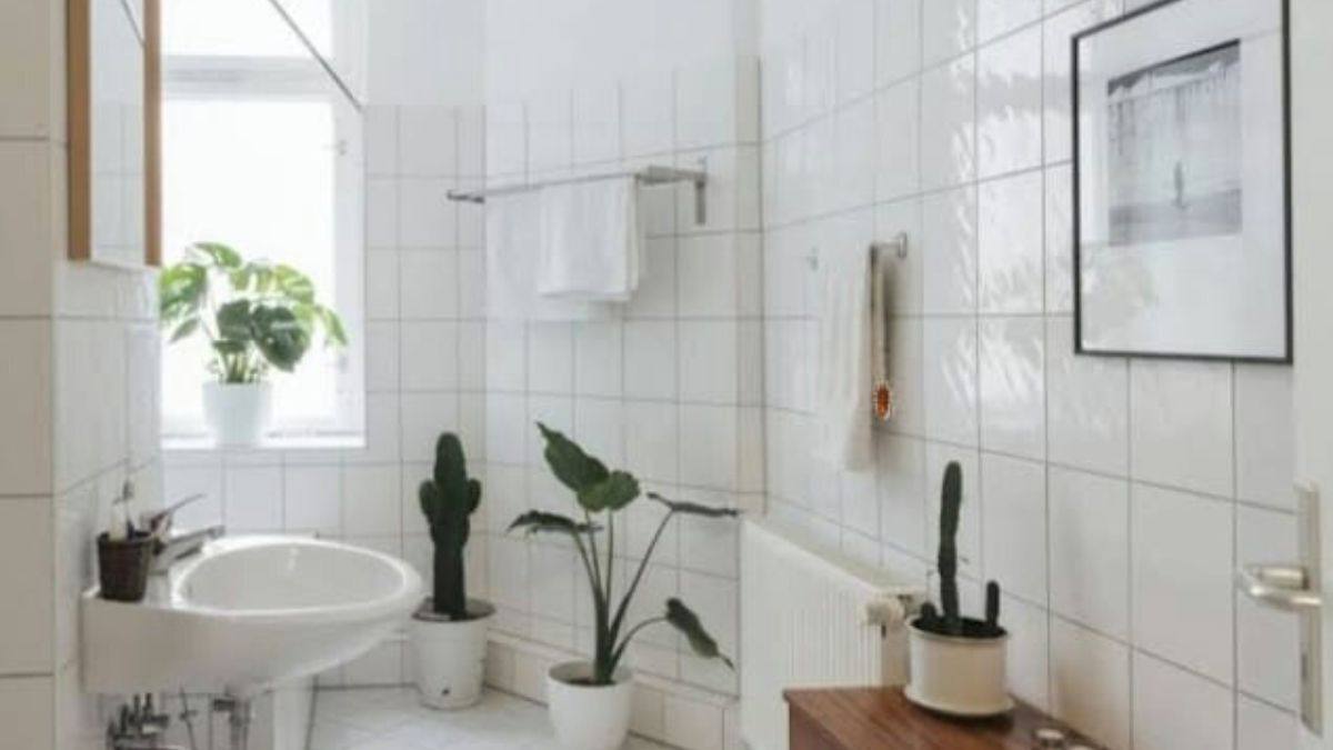 Optical Illusion: This bathroom is super clean. Really? Spot the hidden cockroach in the bathroom in 20 seconds. (98% people will FAIL!)