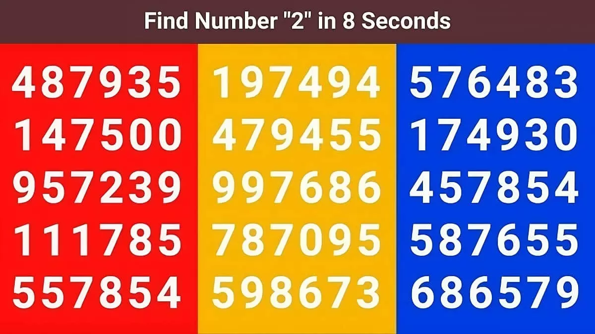 Optical Illusion - Find 2 in 8 Seconds
