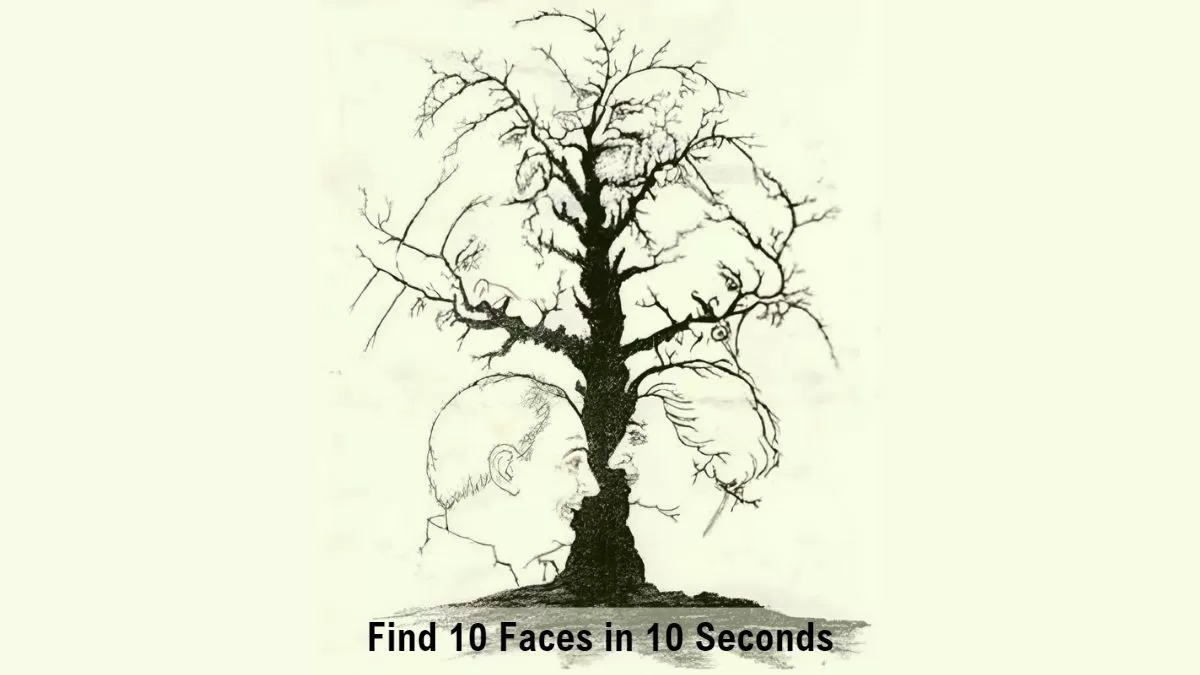 1 ao 10 – Illusion Scan