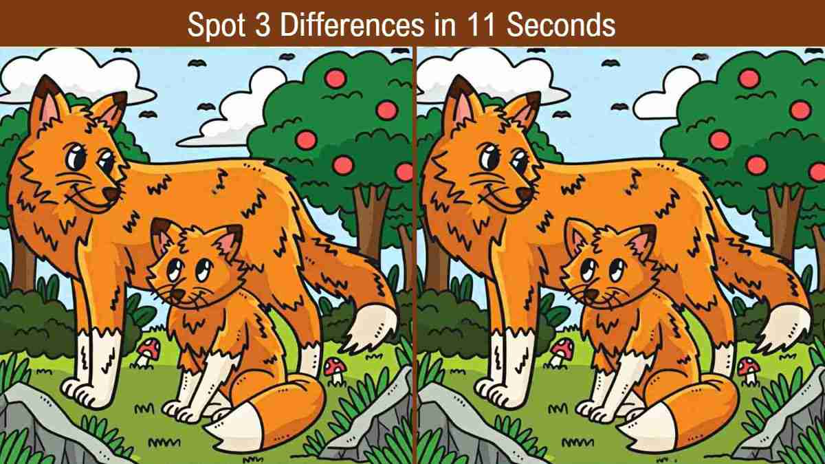 How sharp are your eyes? Spot 3 differences in 11 seconds to test now!