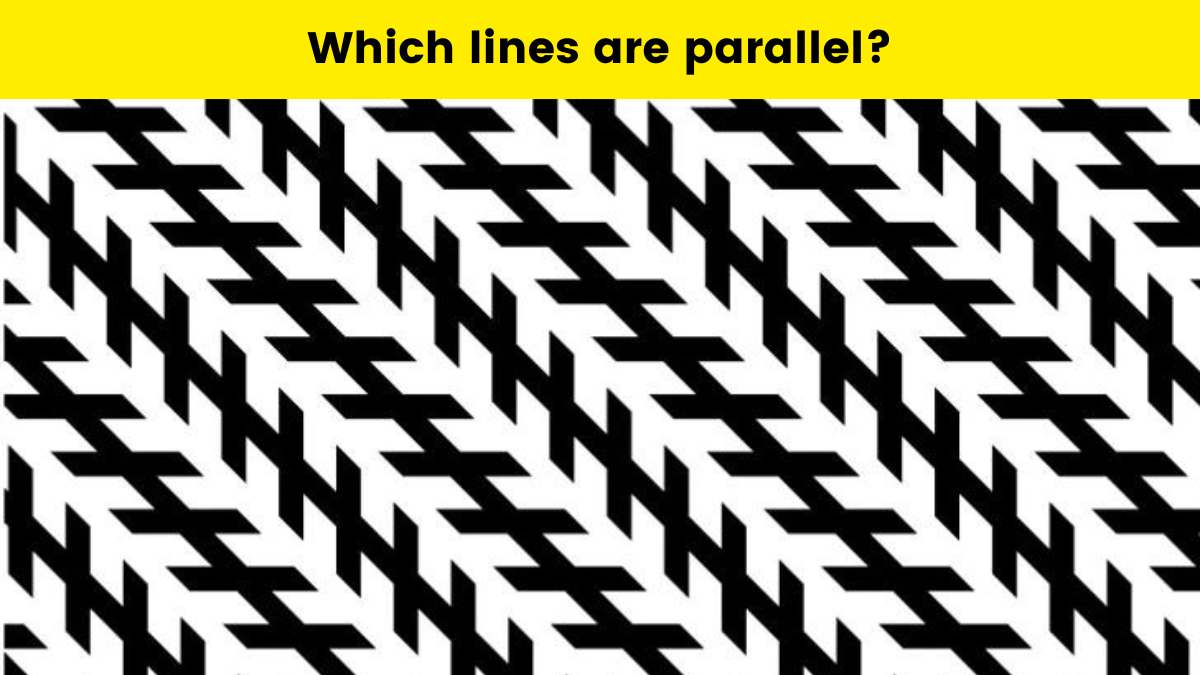 Only someone intelligent can tell which lines are parallel in the image within 7 seconds!