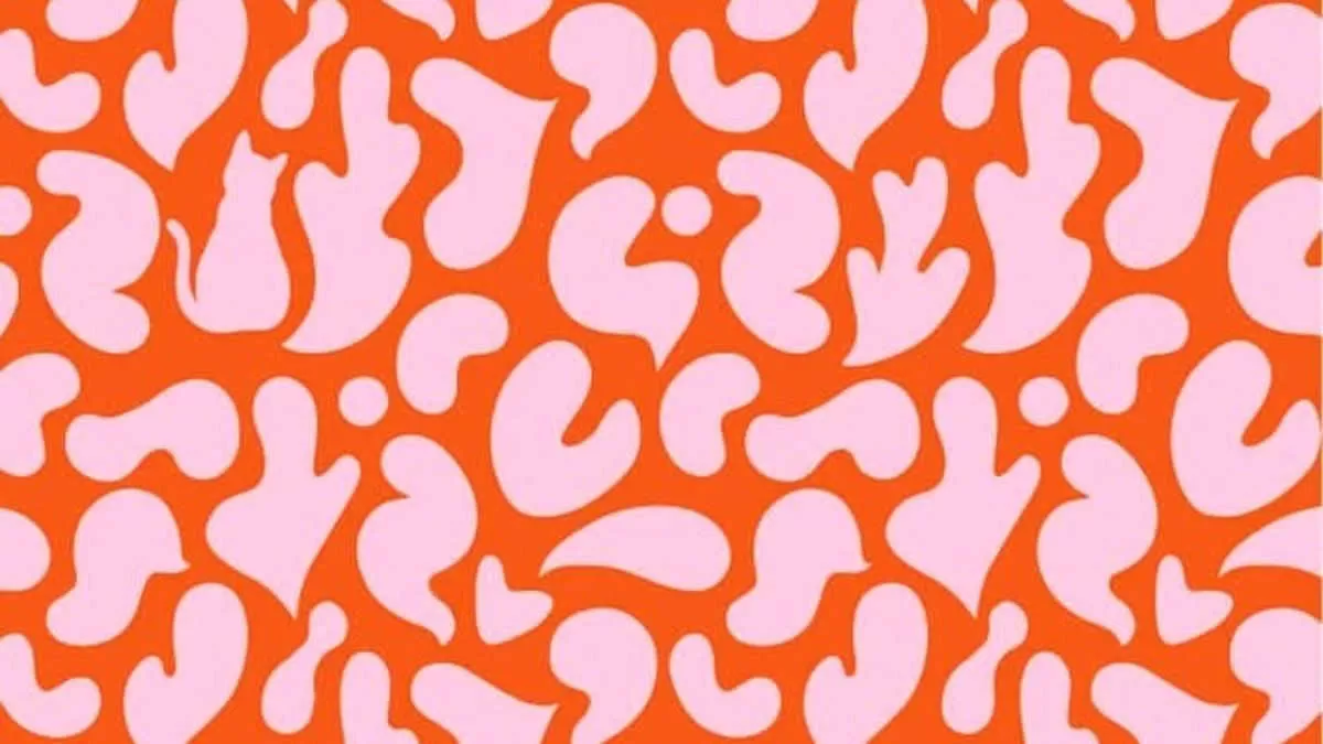 Find Cat in 6 Seconds