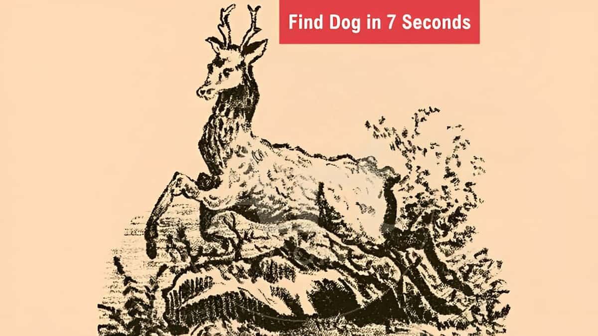 Finding the dog in this optical illusion is tough in 7 seconds. Try Now!