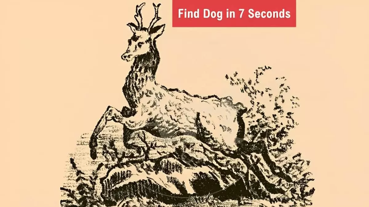 Optical Illusion - Find Dog in 7 Seconds