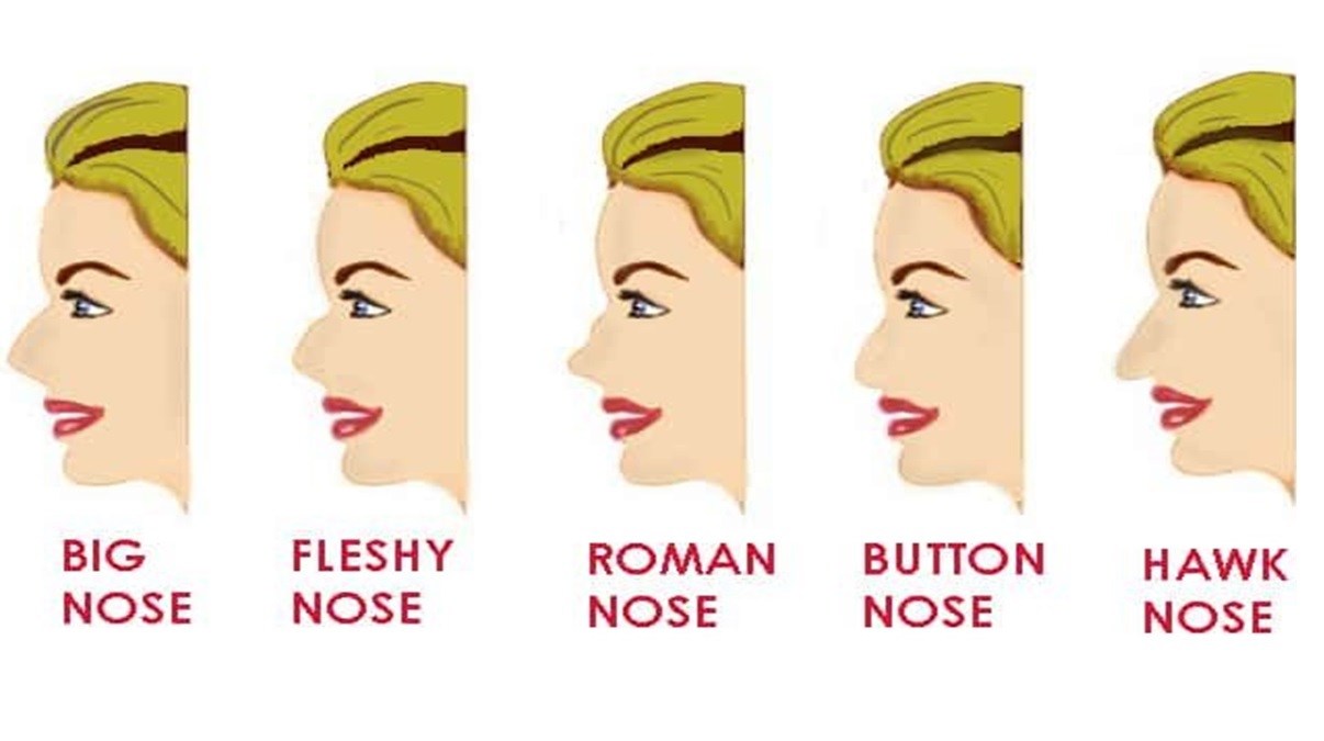 types of nose shapes