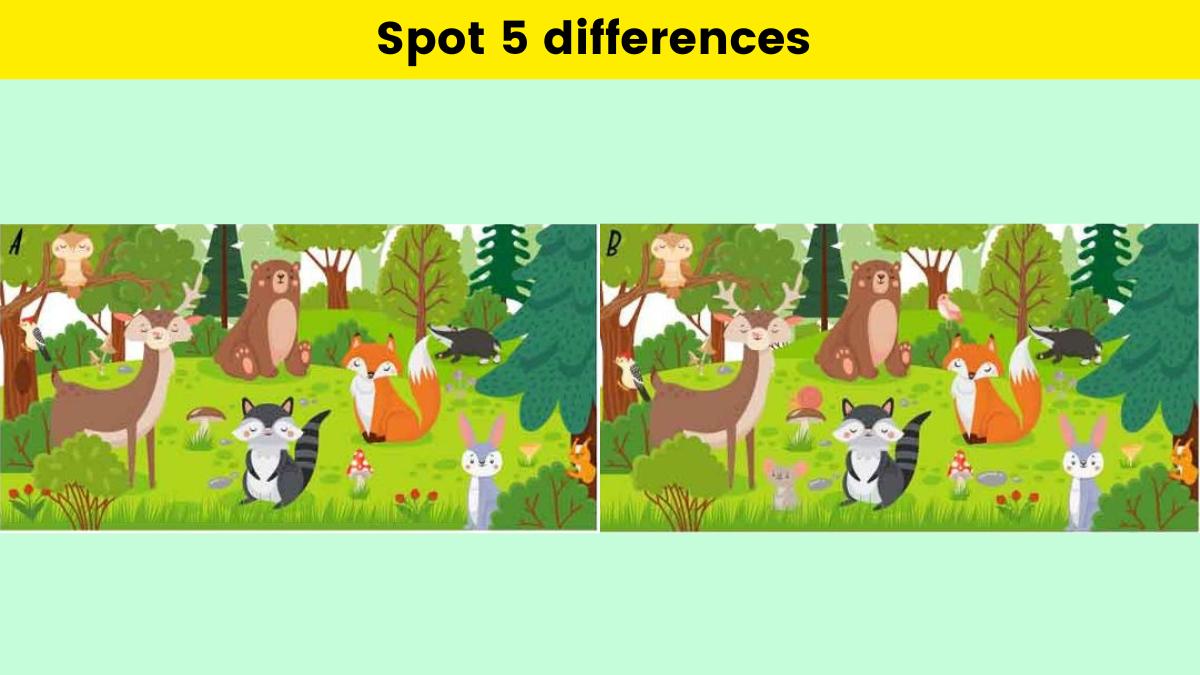 Your eyes are better than a hawk's if you can spot 5 differences in the zoo picture in 17 seconds!