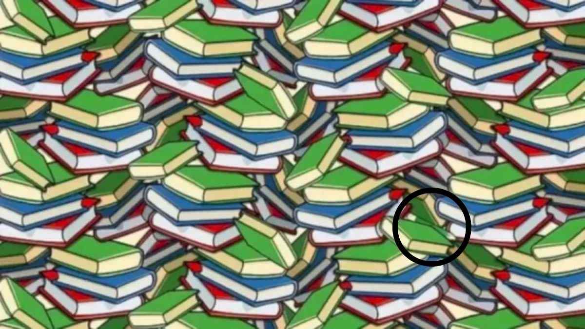 Picture Puzzle Answers