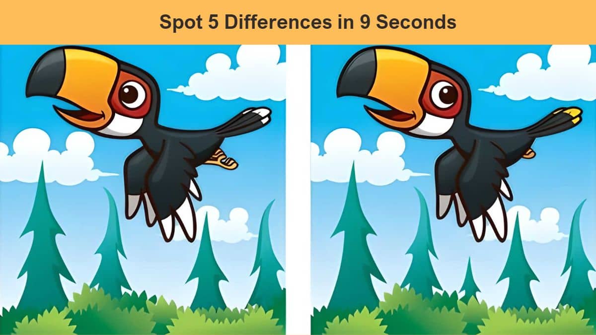 Are you a puzzle expert? Spot 5 differences in 9 seconds! Try now!