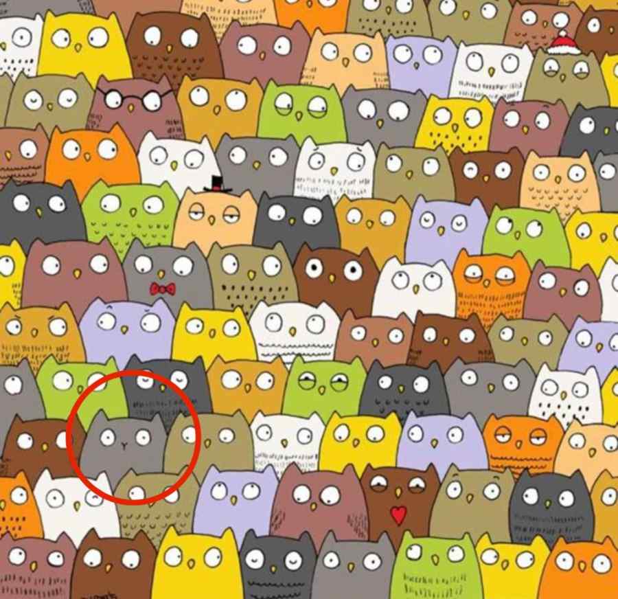 This Optical Illusion Will Stump You! Can You Find The Hidden Cat?