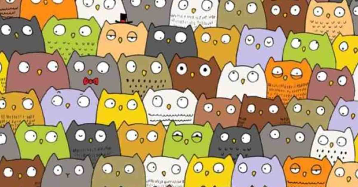 This Optical Illusion Will Stump You! Can You Find the Hidden Cat?