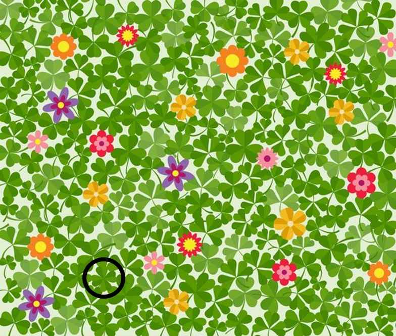 optical illusion answers