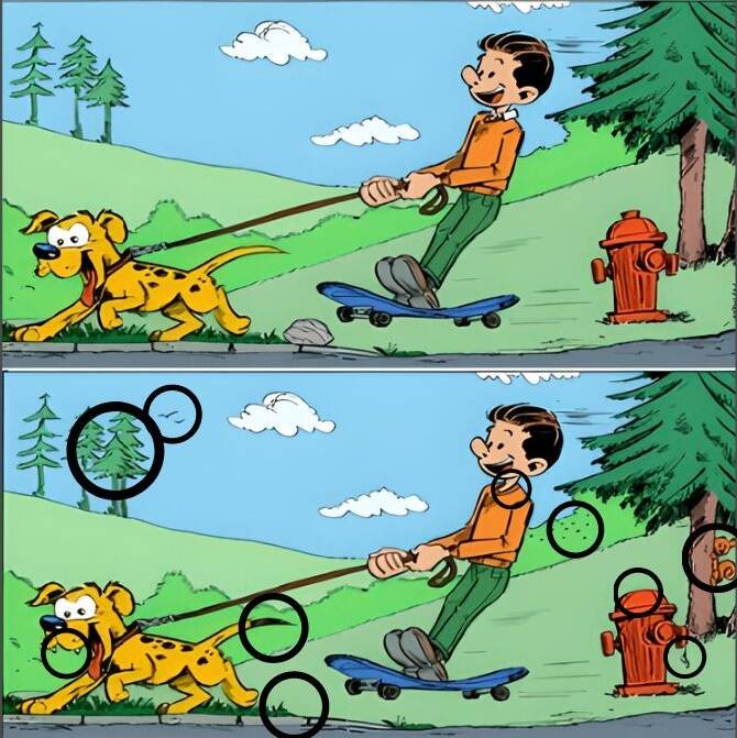 Spot The Difference.