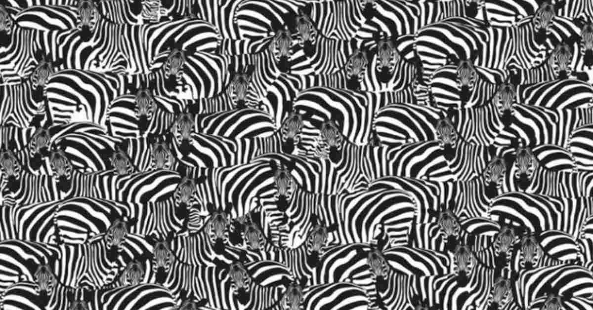 The Mind-bending Optical Illusion: Can you beat the 21 second timer to Find the Hidden Piano?