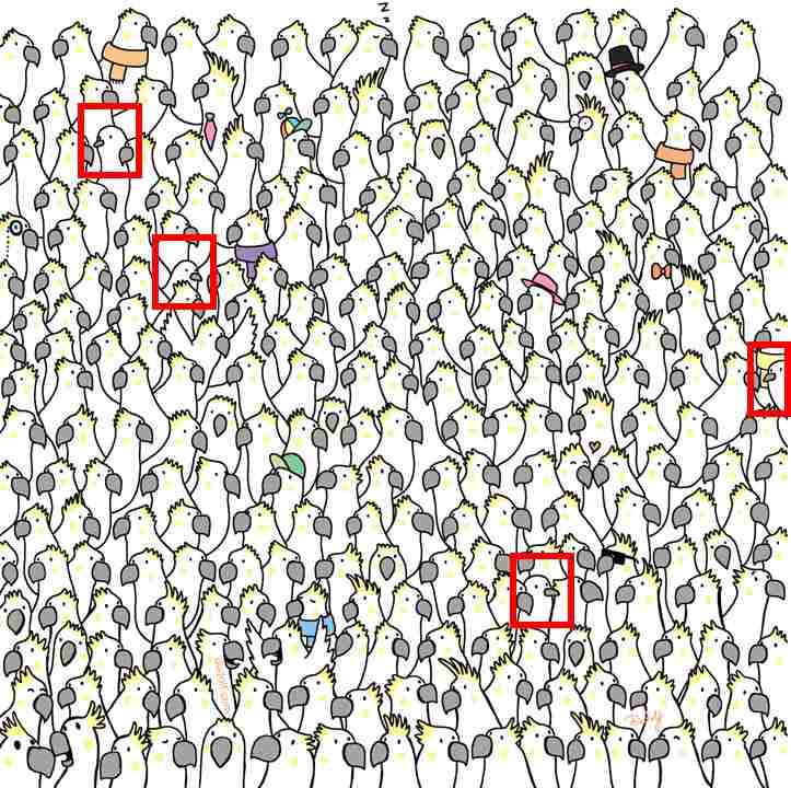 Find the four doves in 5 secs only 1% eagle eyed can spot them Find the four doves in 5 secs only 1% eagle eyed can spot them