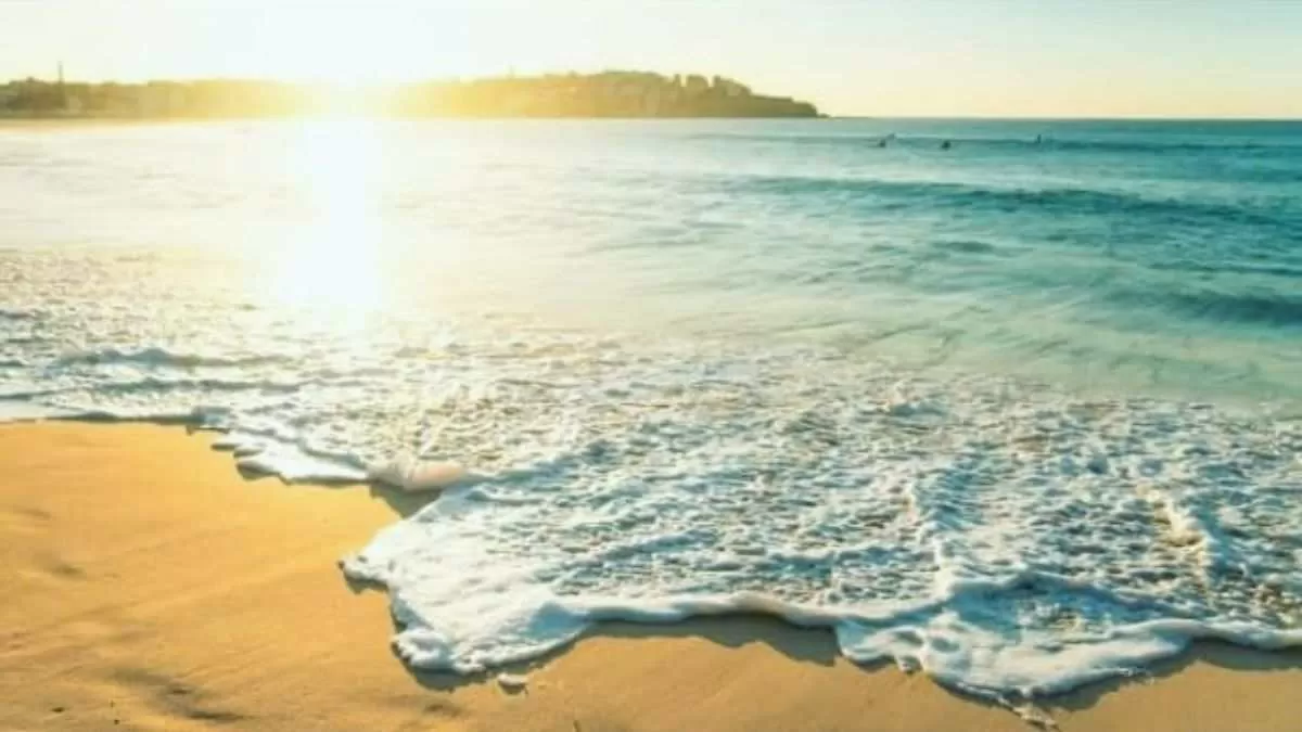 Find the hidden shell on the beach!