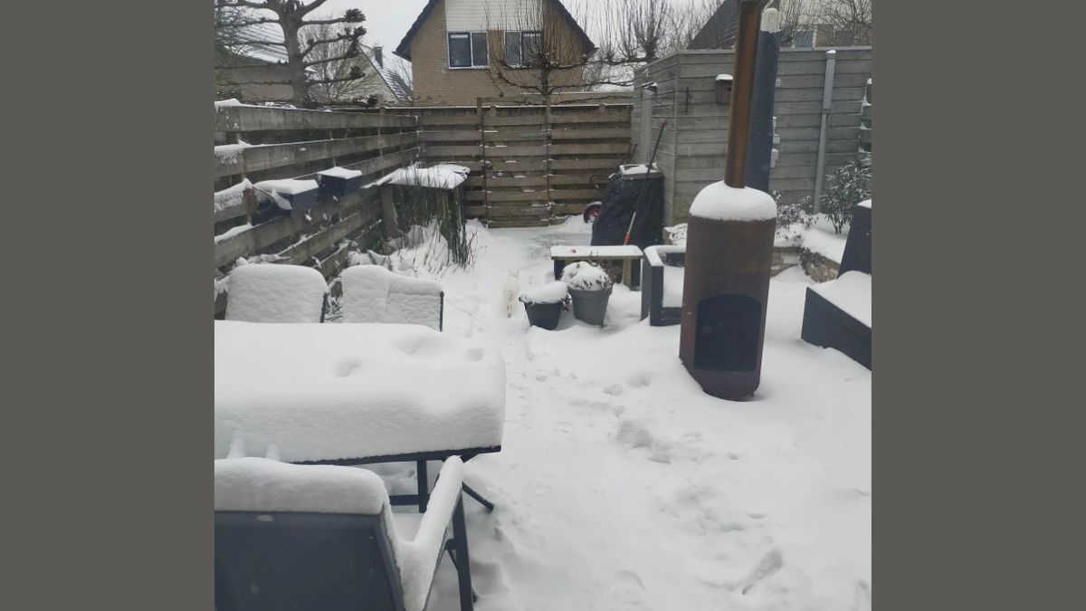 Do you have eagle eyes? Find a hidden Cat in 5 seconds!