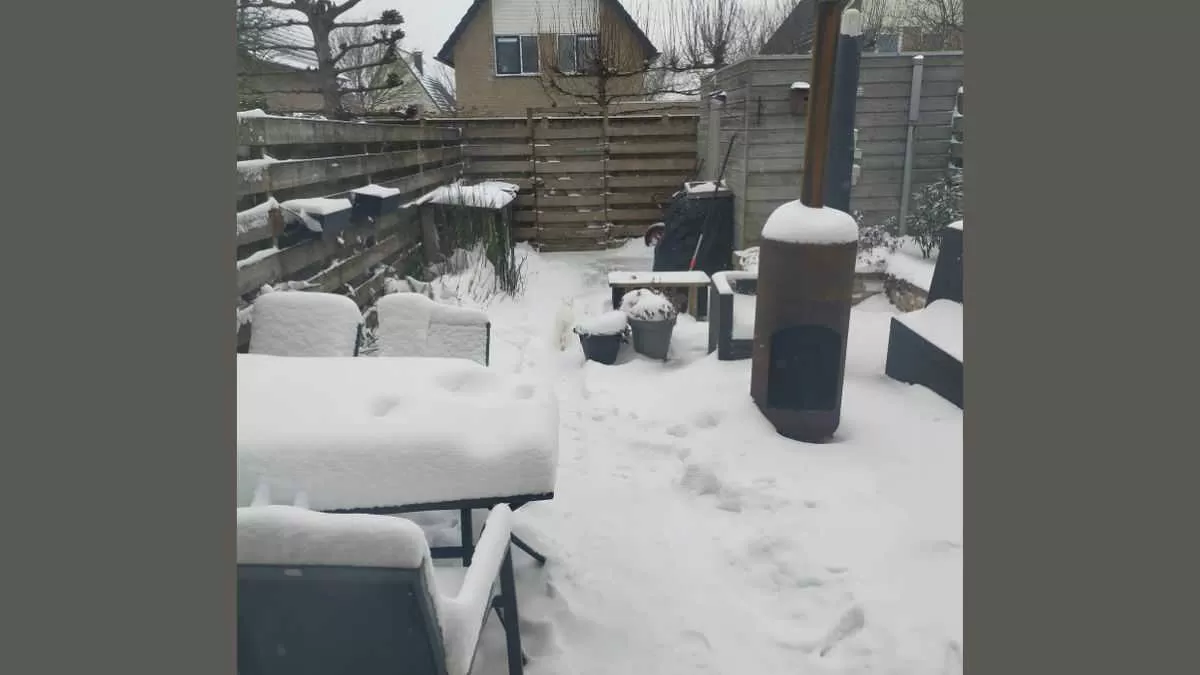 Find Hidden Cat in 5 Seconds
