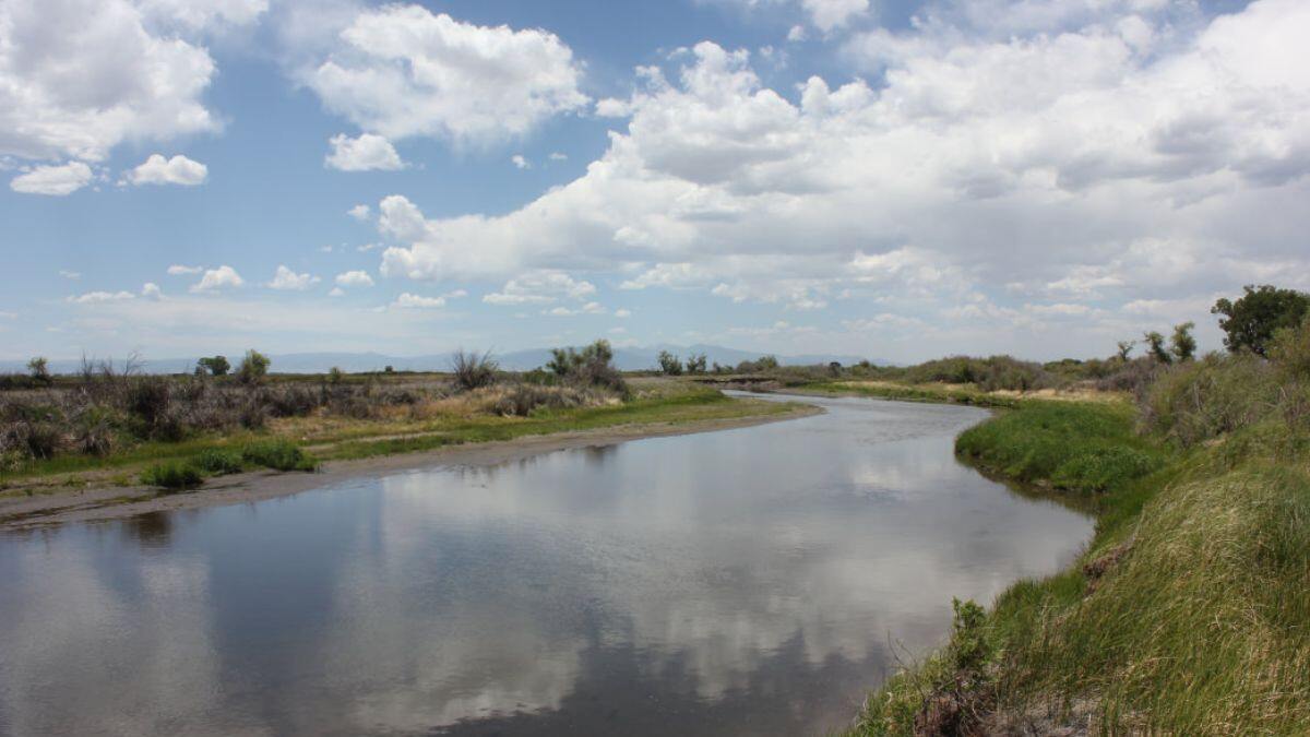 The 10 Longest Rivers in North America