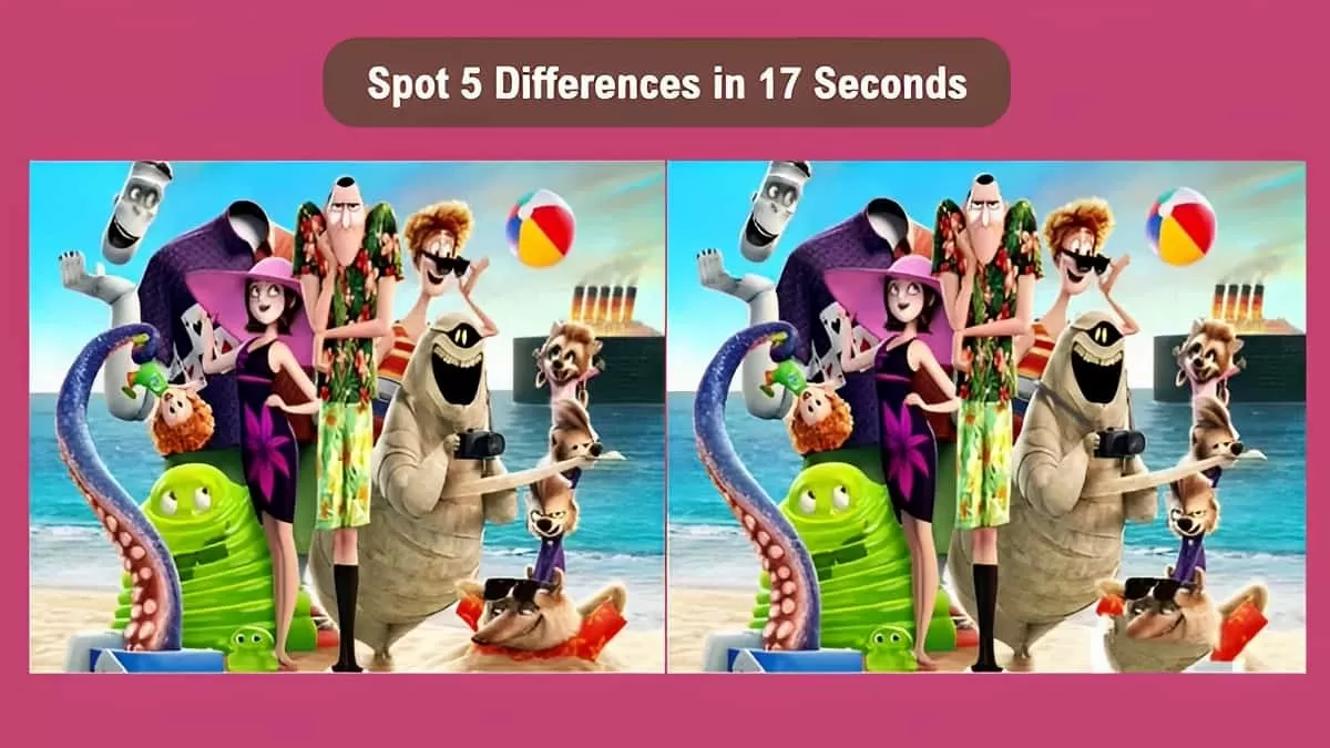 Spot 5 Differences in 17 Seconds