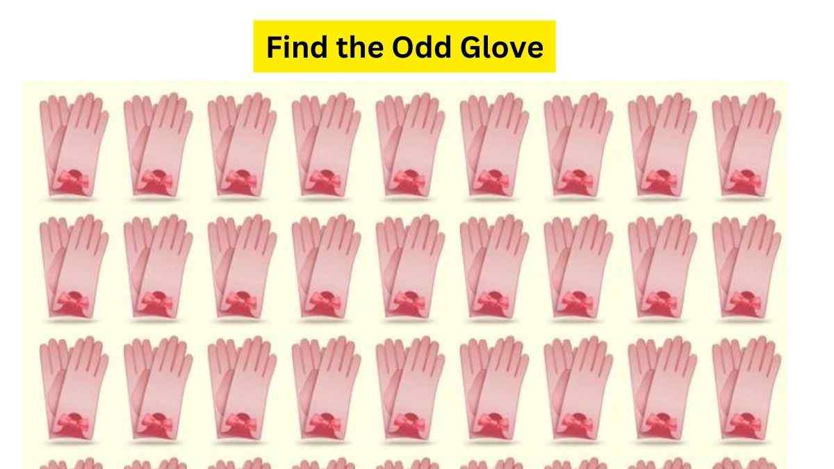 How quick you can be to find the odd pair of gloves in this odd one-out puzzle? Good Luck!